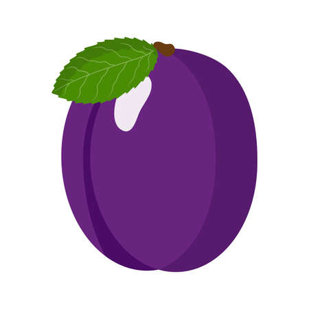 Vector cartoon fresh plum fruit. Eco food shopping.のイラスト素材