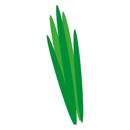Vector cartoon fresh green onion vegetable. Eco food shopping.のイラスト素材