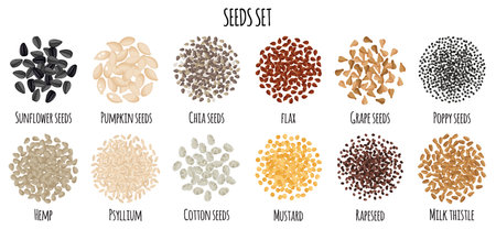 Seeds set with Sunflower, Pumpkin, Chia, Flax, Grape, Poppy, Hemp etc. natural organic food collection. Vector cartoon isolated illustration.のイラスト素材