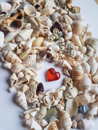 The composition in the marine theme of shells and a red heart on white paper backgroundの写真素材