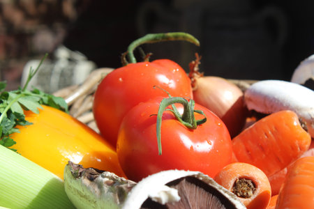 Summer vegetable basketの写真素材