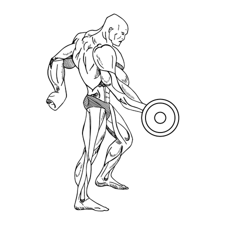 Vector elements for vintage fitness and gym labels. Sport fitness gym, bodybuilding and dumbbell element, barbell for label illustrationのイラスト素材