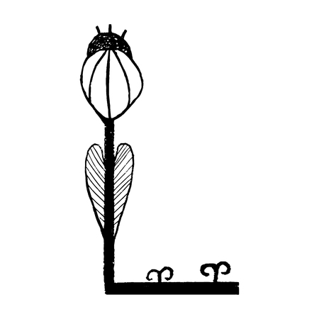 Handdrawn latin alphabet. The letter L - floral element of alphabet made from hand drawn flowers  for your lettering design. Spring floral ABC element in vector.のイラスト素材