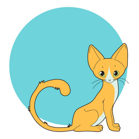vector sitting orange cat on the turquoise circleのイラスト素材