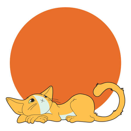 orange cat on the coral circle for your textのイラスト素材