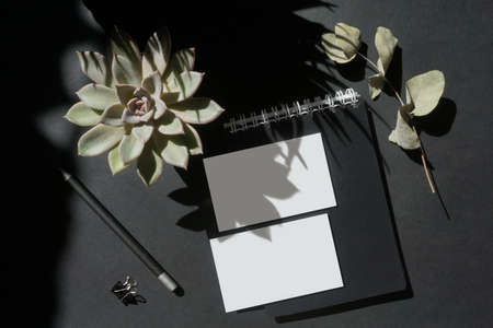 White business cards, tag, succulent and eucalyptus leaves, pencil on a textured black paper background. Natural light casts a shadow from the plants.の写真素材