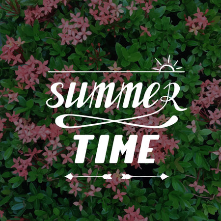 Summer time hand written letteringのイラスト素材