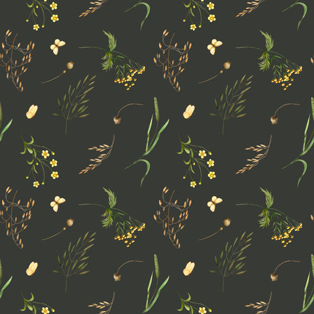 Pattern wild field herbs, butterflies. Watercolor illustration on dark green background hand drawn. Seamless print meadow plants for fabric, clothes, textile, packaging, wallpaper, cosmetics productsの写真素材