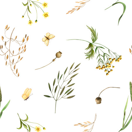 Watercolor pattern of wild flowers, grass, butterfly. Illustration of plants tansy, oats, wheat, dry buds. Seamless print herbarium background for design fabric, clothes, textile, packaging, wallpaperの写真素材
