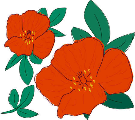 red poppies with green leaves on white backgroundのイラスト素材