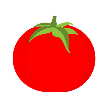 Tomato isolated single simple cartoon illustrationのイラスト素材