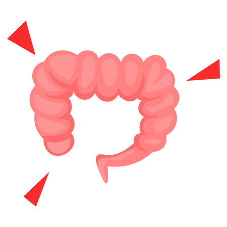 Picture of rectum on a white background.