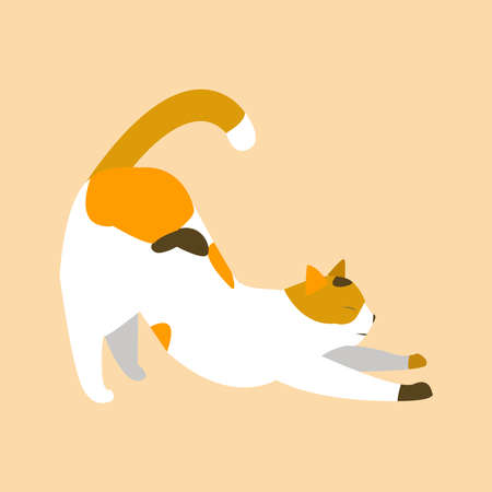 Cat picture. Cat in an interesting coloringのイラスト素材