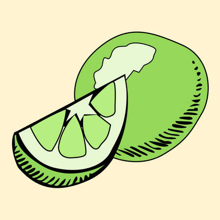 Green lime picture. Logo Vector illustrationのイラスト素材