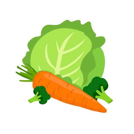 picture of vegetables on a backgroundのイラスト素材