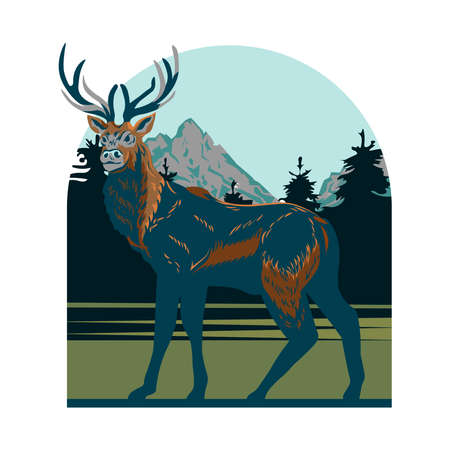 picture of realistic deer. illustrationのイラスト素材