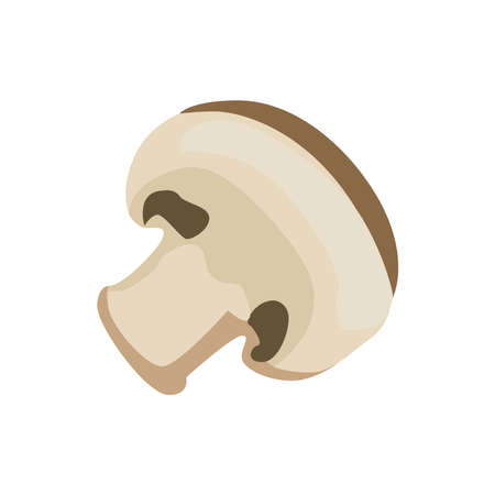 Picture of mushrooms on a white background.のイラスト素材