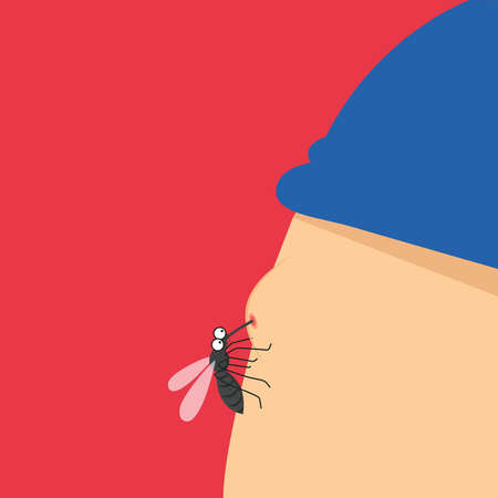 Illustration of a mosquito that bites a person. Mosquito concept.のイラスト素材