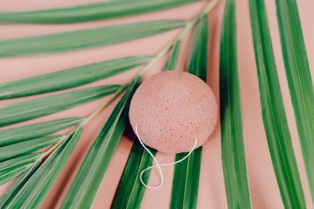 Natural, organic and biodegradable Konjac sponge. Overhead shot on a pink background with palm leaf with copyspace.の写真素材