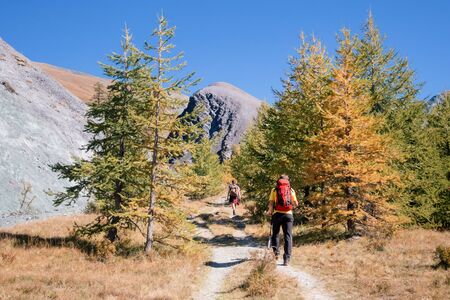 Aduld men hiking in mountains.の写真素材