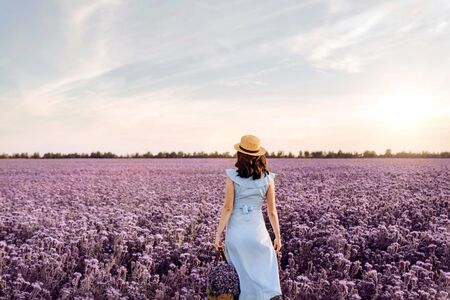 Woman in purple flowers field at sunset in blue dress.の写真素材
