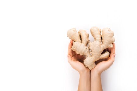 Fresh ginger in hand on white background, herb medical conceptの写真素材