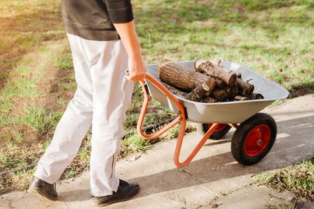 Man with wheelbarrow working with firewood in garden in spring, closeup.の写真素材