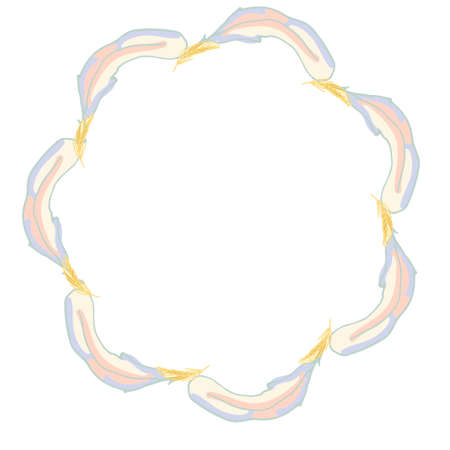 frame with hand drawn feathers, ornate color plumelet isolated at white background, hand drawn template, gift card. Isolated. Vector illustration. Copy spaceのイラスト素材