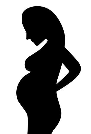 Pregnant girl vector illustration isolated on white background. 2 Trimestr. Pregnant woman silhouette. neat hairstyle. Looks at the bellyのイラスト素材