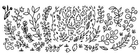 floral elements, flowers, foliage and leaves. Hand sketched vector vintage elements, doodle style. Perfect for invitations, greeting cards, quotes, blogs, posters.のイラスト素材