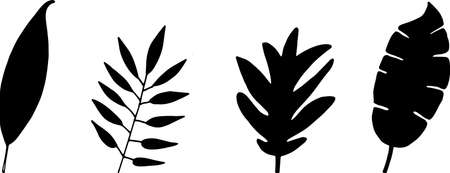 Silhouette hand drawn leaf vector illustration. Big tropical leave. Simple black stroke. flower lineart isolated graphic elements for your design, floral lineart for classic design.のイラスト素材