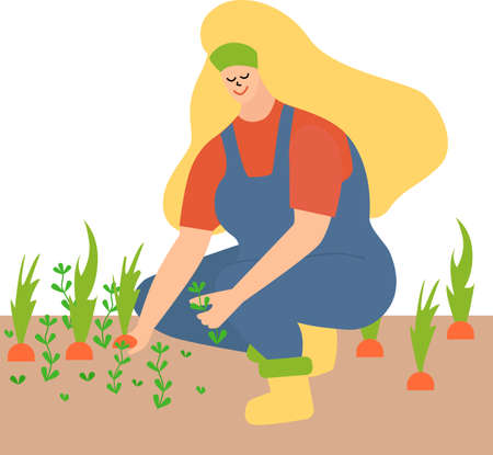 woman working in the garden, weeding. Pull out the weeds and leaves the carrots. a blonde in a blue jumpsuit and yellow boots. Trend vector illustration on a white background.のイラスト素材