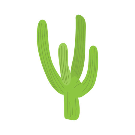 green cactus isolated on white background. Vector cartoon close-up illustration.のイラスト素材
