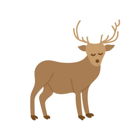 Hand drawn deer with horns vector illustration isolated on white backgroundのイラスト素材