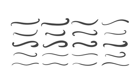 Swoosh and swoops underline typography tails shapes. Brush drawn thick curved smears. Hand drawn collection of curly swishes, swashes, squiggles. Vector calligraphy doodle swirls. Vector Underlined iconsのイラスト素材