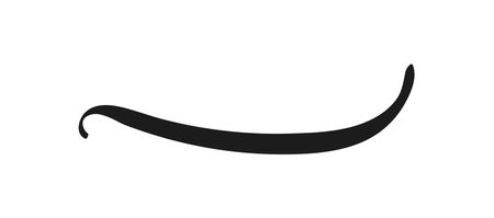 Swoosh and swoops underline typography tail shape. Brush drawn thick curved smear. Hand drawn curly swish, swash, squiggle, twiddle. Vector calligraphy doodle swirl. Vector Underlined iconのイラスト素材