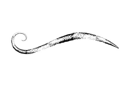 Crayon charcoal Swoosh and swoop underline typography tail shape. Brush drawn thick curved smear....