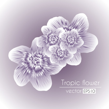 Beautiful soft flowers bouquet isolated on a violet backgroundのイラスト素材