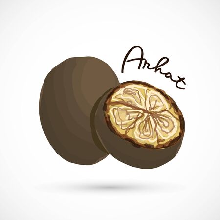 Monk fruit siraitia herb plant vector illustrationのイラスト素材