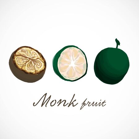Monk fruit siraitia herb plant vector illustrationのイラスト素材
