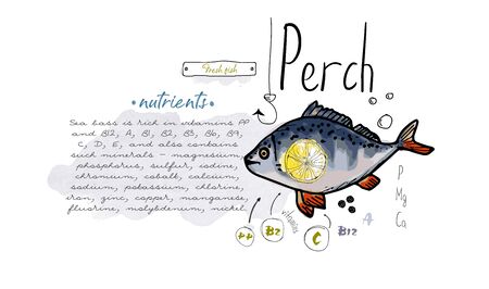 Fish perch hand drawn set watercolor ink, food vitamin menu restaurant, sketch cartoon vector illustration, text collageのイラスト素材