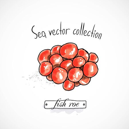 Fish roe seafood taste for packing or menu watercolor spray seafood poster on white backgroundのイラスト素材