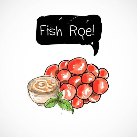 Fish roe seafood taste for packing or menu watercolor spray seafood poster on white backgroundのイラスト素材
