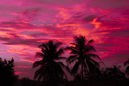 sunset vibes