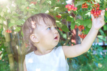 girl walking barefoot in the garden near the apple treeの写真素材