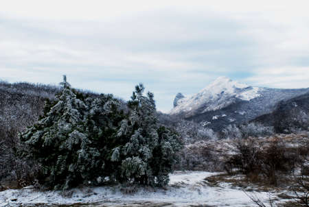 winter landscapeの写真素材