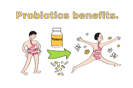 Probiotics benefits. Scheme of influence of probiotics on a human body. Conceptual illustrations of probiotics within the human bodyのイラスト素材