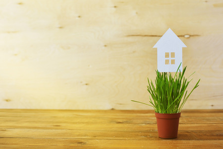 Paper models of house in pots with a green grass on a wooden background.