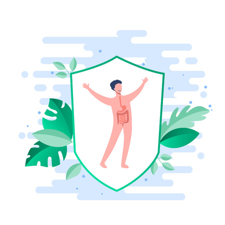 Probiotics benefits. Influence of probiotics on a human body. Conceptual illustrations of probiotics within the human body. protection of an organismのイラスト素材