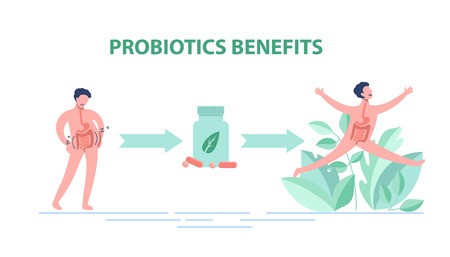 Probiotics benefits. Scheme of influence of probiotics on a human body.のイラスト素材